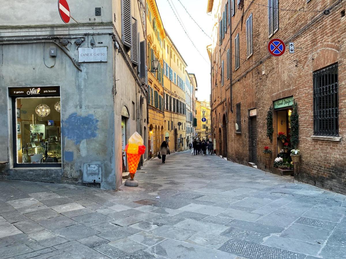 Il Mondo Di Claire - Cozy And Charm Siena Bagian luar foto